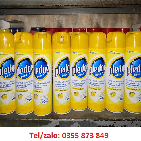 CHUYÊN SỈ BÌNH XỊT PLEDGE ĐÁNH BÓNG ĐỒ DA, THÉP, ĐÁ CẨM THẠCH