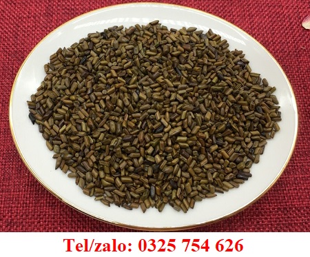 HẠT MUỒNG SAO CHÁY UỐNG THAY TRÀ HẰNG NGÀY GIÚP DỄ NGỦ, MÁT GAN