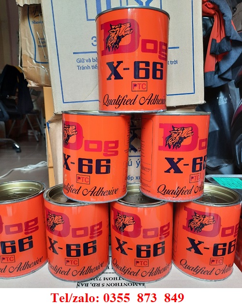 KEO CHÓ X66 (THÙNG 24 LON ) DÁN GIẦY DÉP