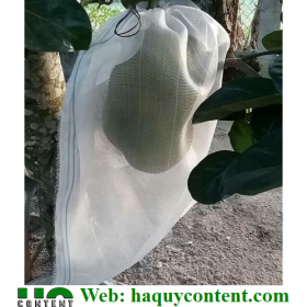 100 TÚI BỌC MẬN GIÁ RẺ SHIP TOÀN QUỐC