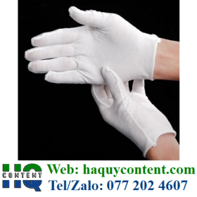 BÁN BAO TAY VẢI THUN ĐỦ SIZE XL, XL+2, XL+4