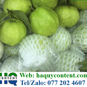 BÁN BUÔN BÁN LẺ BAO XỐP BỌC ỔI GIÁ RẺ TẠI XƯỞNG