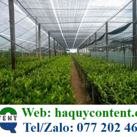 BÁN LƯỚI LAN CHE NẮNG GIÁ TỐT GIAO HÀNG TẬN NƠI