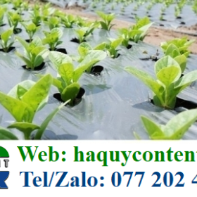 BÁN MÀNG PHỦ ĐẤT NGĂN CỎ MỌC KHỔ 1M 2 MẶT TRẮNG ĐEN