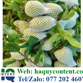 BÁN TÚI LƯỚI BAO NA, ỔI, XOÀI ĐỦ SIZE