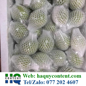 BÁN XỐP BAO ỔI VƯỜN TẠI ĐÂY GIÁ RẺ