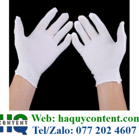 BẢNG BÁO GIÁ BÁN GĂNG TAY THUN COTTON NĂM NAY