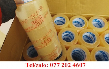 BĂNG KEO 100YARD, LỐC 6 CUỘN ƯU ĐÃI GIÁ SỈ