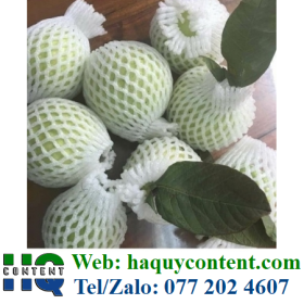 BAO BỌC ỔI CHỐNG RÁM NẮNG, SÂU BỌ CHO QUẢ ĐẸP NĂNG SUẤT