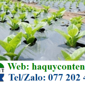 BẠT PHỦ CỎ HÀNG CHUẨN SẢN XUẤT TẠI VIỆT NAM GIÁ RẺ