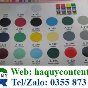 CÁC LOẠI SƠN XỊT
