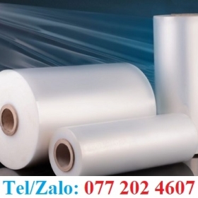 CÂY QUẤN PE KHỔ 50CM GIÁ TỐT TẠI XƯỞNG