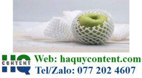 CÔNG TY CUNG CẤP SỈ CÁC LOẠI XỐP LƯỚI BAO TRÁI CÂY