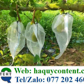 CÔNG TY CUNG CẤP SỈ TÚI VẢI KHÔNG DỆT BỌC XOÀI, MÍT, MƯỚP