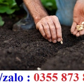 CÔNG TY PHÂN PHỐI SỈ LẺ HẠT GIỐNG NÔNG NGHIỆP