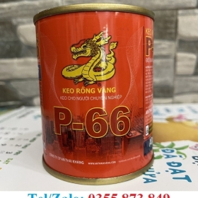 CUNG CẤP KEO DÁN RỒNG VÀNG P66 DÁN SÂN CỎ NHÂN TẠO