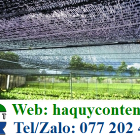 CUNG CẤP LƯỚI LAN CHE NẮNG 1MX100M, 2MX100M GIÁ RẺ GIAO TẬN NƠI