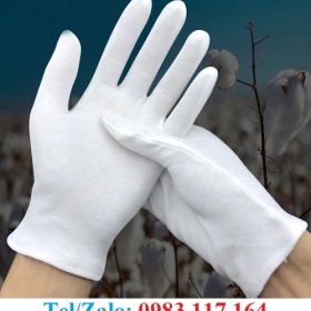 CUNG CẤP SỈ GĂNG TAY TRẮNG NGHI THỨC