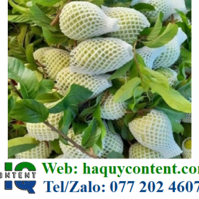 CUNG CẤP SỈ XỐP LƯỚI BỌC ỔI, XOÀI