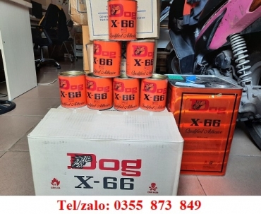 ĐẠI LÝ CUNG CẤP KEO CHÓ GIÁ SỈ TP.HỒ CHÍ MINH