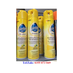 ĐÁNH BÓNG PLEDGE