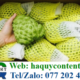 ĐỊA CHỈ CHUYÊN PHÂN PHỐI LẺ BAO XỐP LƯỚI BỌC ỔI