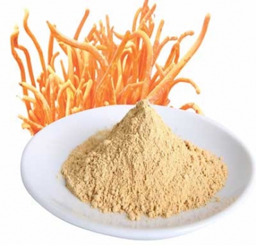 ĐÔNG TRÙNG HẠ THẢO DẠNG BỘT