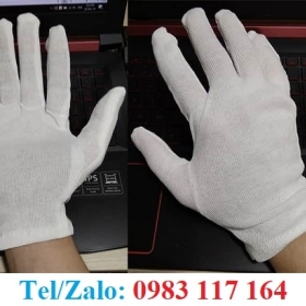 GĂNG TAY COTTON TRẮNG GIÁ SỈ