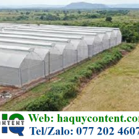 MÀNG PHỦ NÔNG NGHIỆP