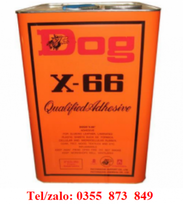 KEO CHÓ GIÁ SỈ RẺ NHẤT TP.HCM