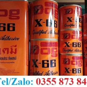 KEO DOG X66, TỔNG KHO CUNG CẤP SỈ LẺ 