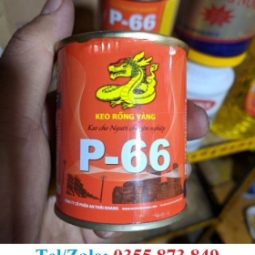 KEO RỒNG VÀNG DÁN GIÀY, NỆM MÚT