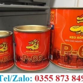 KEO RỒNG VÀNG P66 CAN 3KG GIÁ SỈ