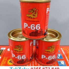 KEO RỒNG VÀNG P66 GIÁ SỈ, GIAO NHANH