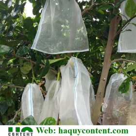 LƯỚI MÙNG BAO BƯỞI 20CM X20 GIÁ RẺ