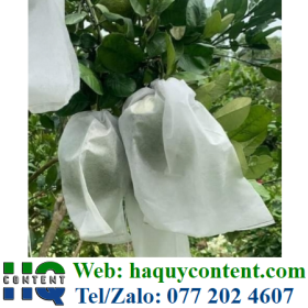 MUA BAO LƯỚI BỌC BƯỞI Ở ĐÂU GIÁ RẺ CHẤT LƯỢNG UY TÍN