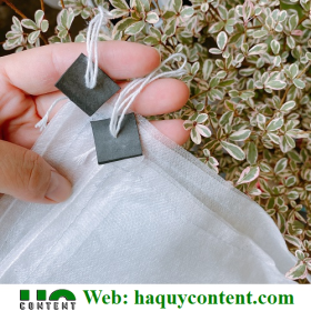 MUA TÚI BỌC MƯỚP Ở ĐÂU ĐẢM BẢO CHẤT LƯỢNG GIÁ TỐT