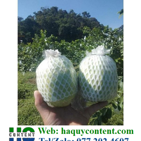 MUA XỐP BAO ỔI VƯỜN GIÁ RẺ TẠI ĐÂY