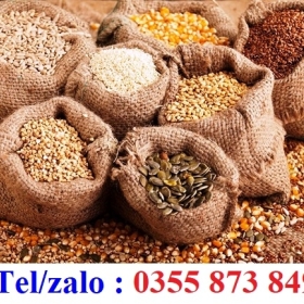 NHÀ PHÂN PHỐI HẠT GIỐNG CÂY TRỒNG GIÁ TỐT