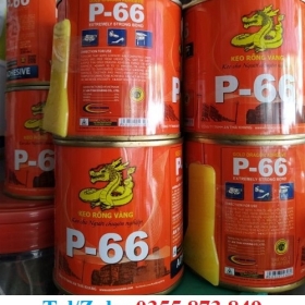 NHÀ PHÂN PHỐI SỈ KEO RỒNG VÀNG P66