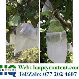 NƠI BÁN BAO BỌC BƯỞI VẢI, BAO BỌC BƯỞI LƯỚI GIÁ RẺ