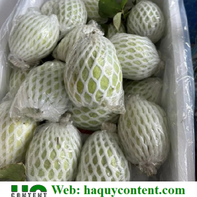 NƠI BÁN BAO BỌC ỔI GIÁ RẺ GIAO TẬN NƠI