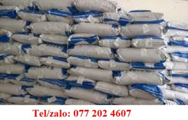 NƠI BÁN HẠT HÚT ẨM CHẤT LƯỢNG GIÁ SỈ