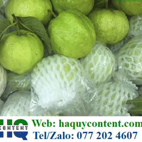 Ở ĐÂU BÁN TÚI BÓNG LỒNG ỔI GIÁ RẺ NHẤT HIỆN NAY