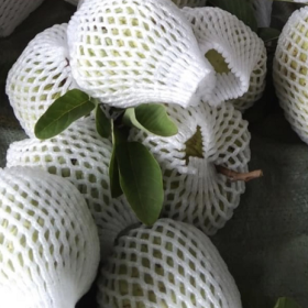 SHOP CHUYÊN BÁN SỈ LẺ XỐP BỌC ỔI GIÁ RẺ