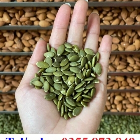 SHOP CHUYÊN SỈ LẺ HẠT GIỐNG NÔNG NGHIỆP CHẮC 100%