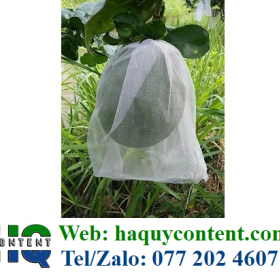 SHOP CHUYÊN SỈ LẺ TÚI BỌC BƯỞI DA XANH BẢO VỆ CÔN TRÙNG