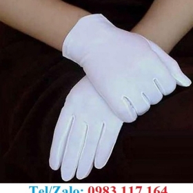 TỔNG KHO SỈ RẺ BAO TAY VẢI TRẮNG COTTON