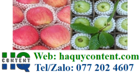 TÚI BAO ỔI CHẤT LƯỢNG GIÁ RẺ SHIP TOÀN QUỐC