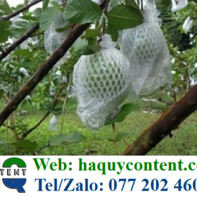 TÚI BAO TRÁI ỔI SIZE 14CM GIÁ RẺ